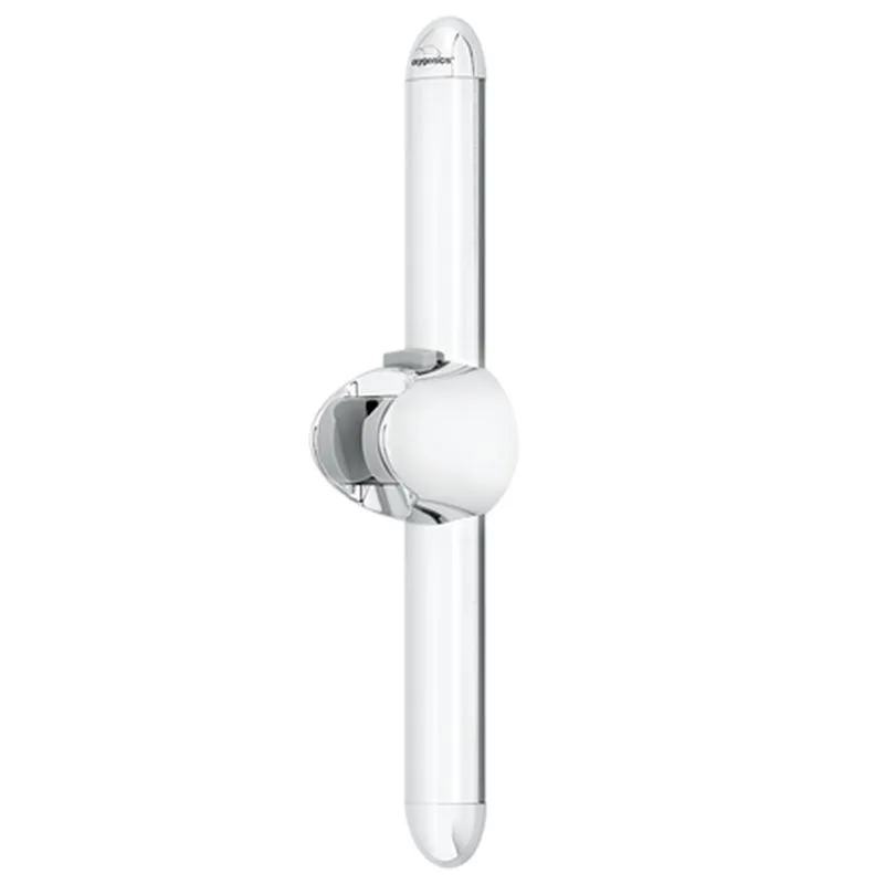 Oxygenics Shower head holder